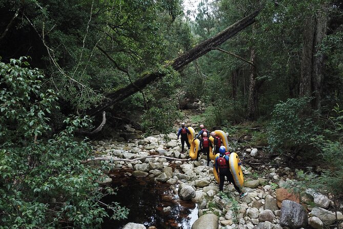 Blackwater Tubing Green Route Forest Adventure - Swimming, scenery, and small moments