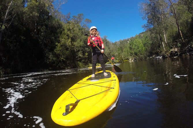 Blackwater Tubing Green Route Forest Adventure - What the $66.38 price covers