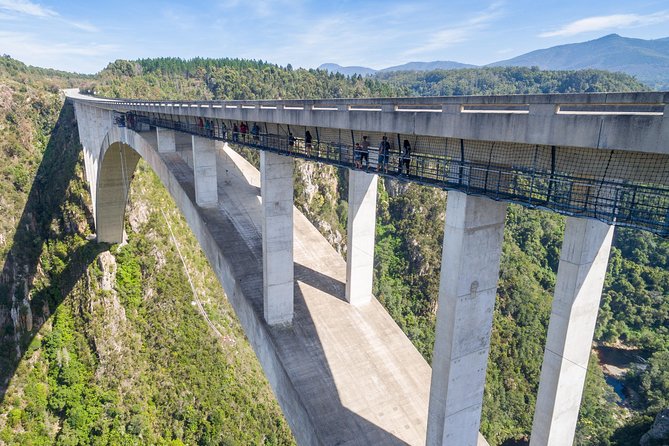 Bloukrans Bungy, the worlds best bungy jump! - Bloukrans Bridge, where the Garden Route gets serious