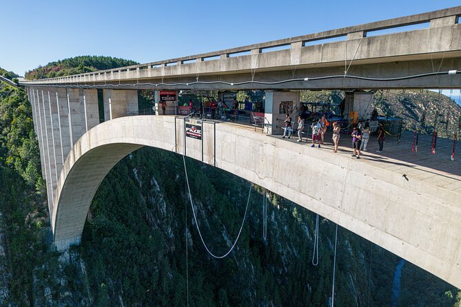Bloukrans Skywalk Tour and HangOut Zone - Key points at a glance