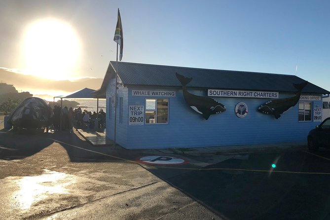 Boat Based Whale Watching from Hermanus - Season, weather, and the limits of nature