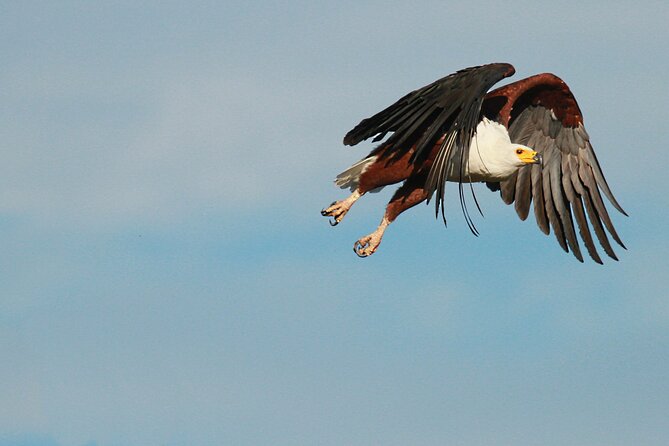 Boat & Safari Combo - Blyde Dam Boat Cruise & Private Safari - Why this combination works so well