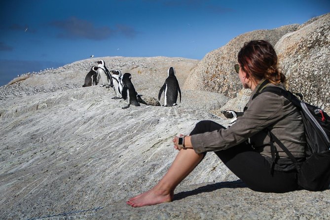 Boulders Beach Cape Town: Swimming With Penguin & Close Encounter Half Day Tour - How the private format affects the day