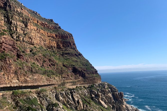 Boulders Beach Penguins and Seal Island Boat Trip Half Day Tour - Hout Bay and the short cruise to Seal Island