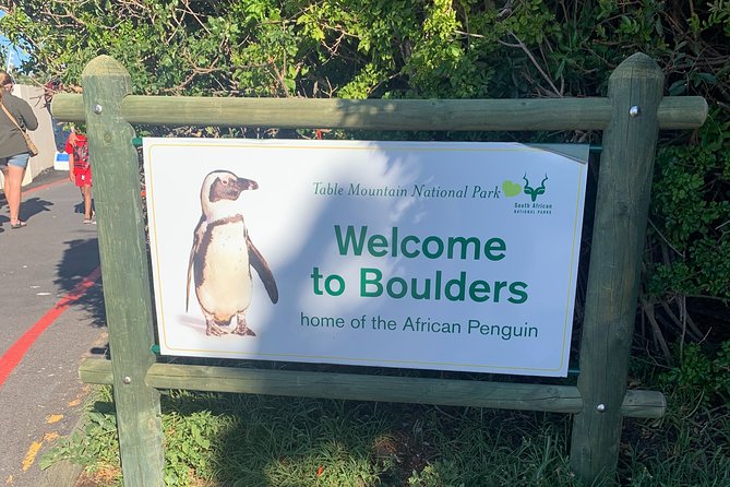 Boulders Beach Penguins and Seal Island Boat Trip Half Day Tour - The real cost at $75 per person