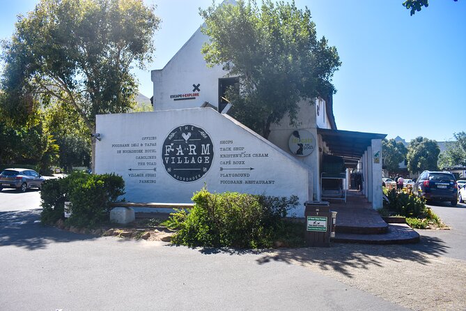 Boulders Beach Penguins Half Day Tour - One to two hours with the African penguins