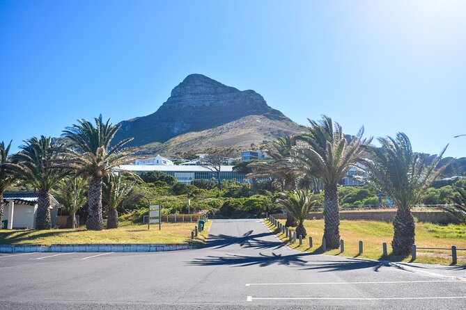 Boulders Beach Penguins Half Day Tour - Bo-Kaap brings Cape Town’s history into view