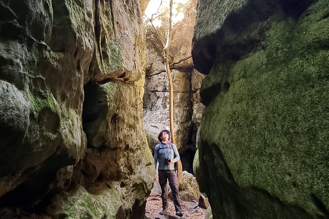 Breathtaking Table Mountain Guided Hike - Off the Beaten Track! - What six hours on the mountain demands