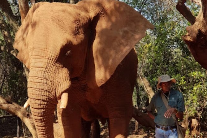 Bush Babies & Monkey Sanctuary and Elephants walk Private - Watching monkeys in the Magaliesberg gorge
