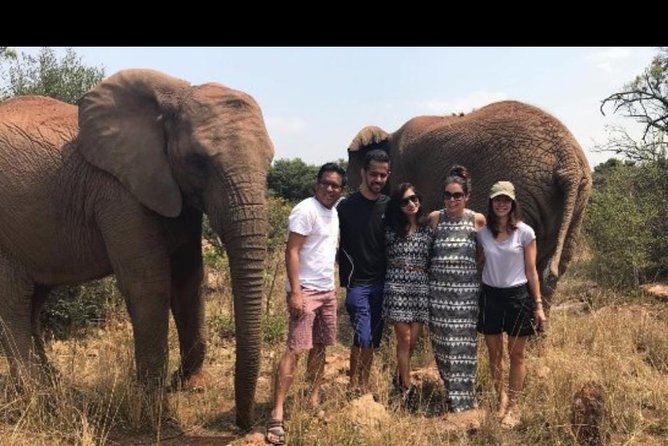 Bush Babies & Monkey Sanctuary and Elephants walk Private - Getting there from Johannesburg with a private guide