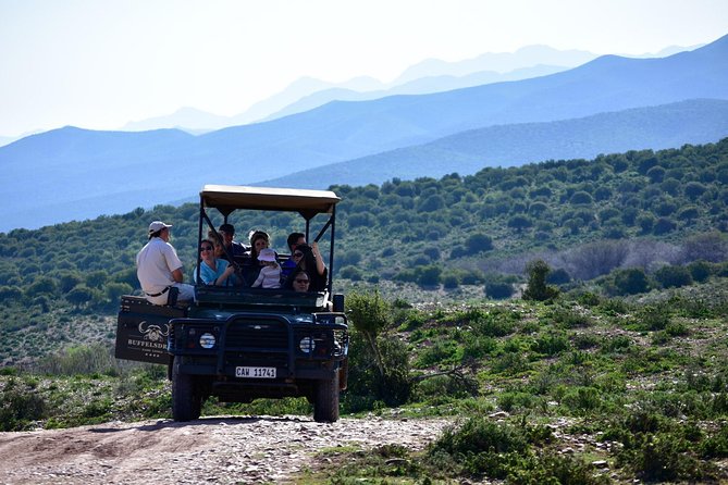Bush Safari - Key points to know before booking
