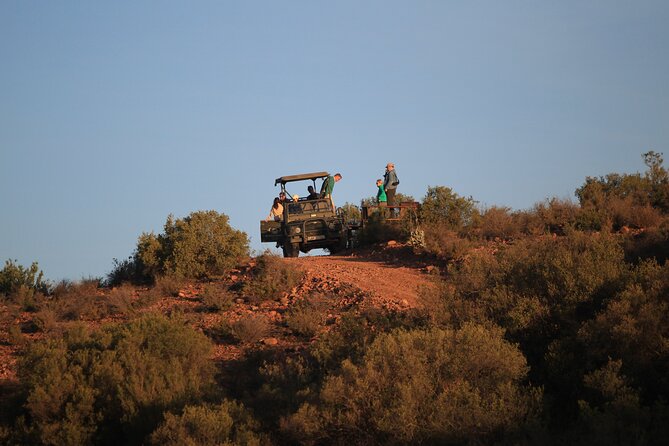 Bush Safari - Is $43 a fair price?