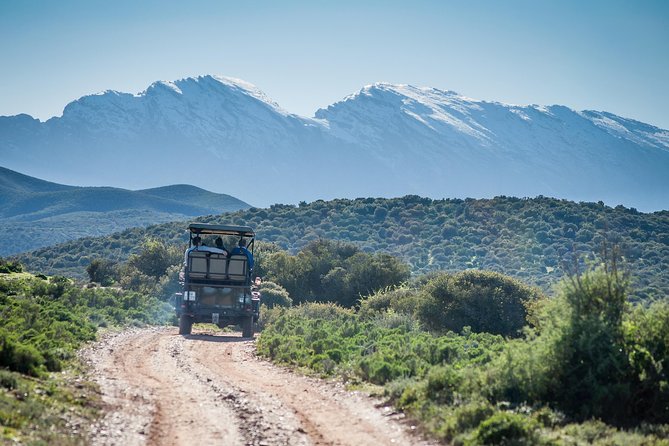 Bush Safari - Who will enjoy this bush safari most?