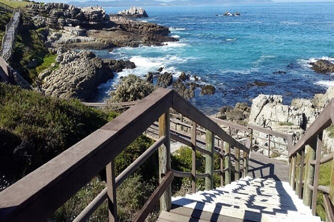 Cape Agulhas Full Day Private Tour - Hermanus, wine country, and the best use of the middle of the day