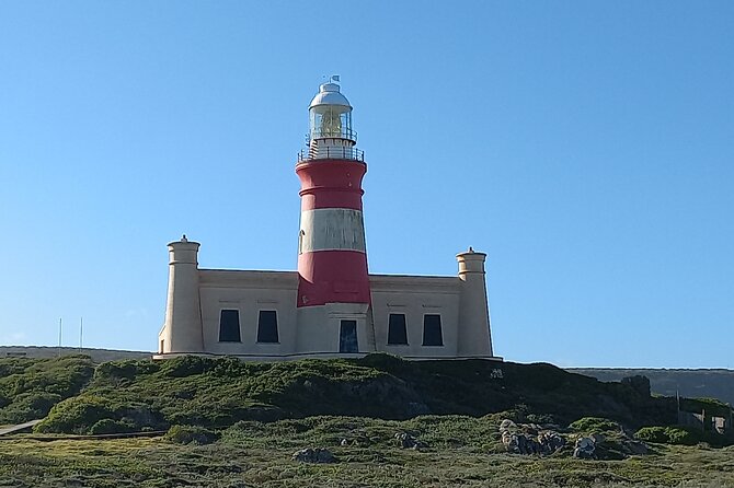 Cape Agulhas Full Day Private Tour - A private guide can change the feel of the day
