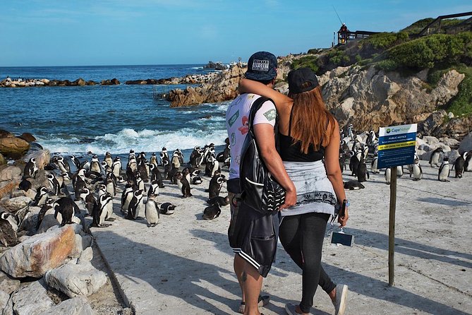 Cape Agulhas Full Day Private Tour from Cape Town - Is $216.80 Per Person a Fair Price?