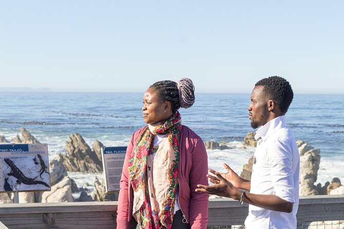 Cape Agulhas Full Day tour - Hermanus for whales, lunch, and a change of pace