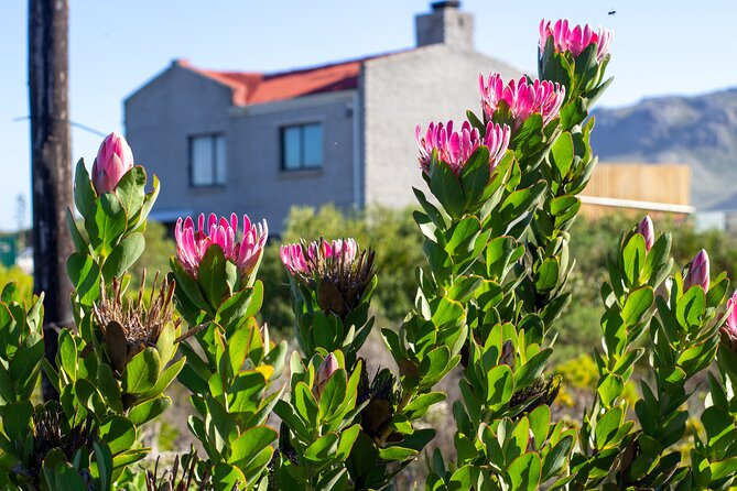 Cape Agulhas Full Day tour - Cape Agulhas lighthouse and the meeting point of two oceans