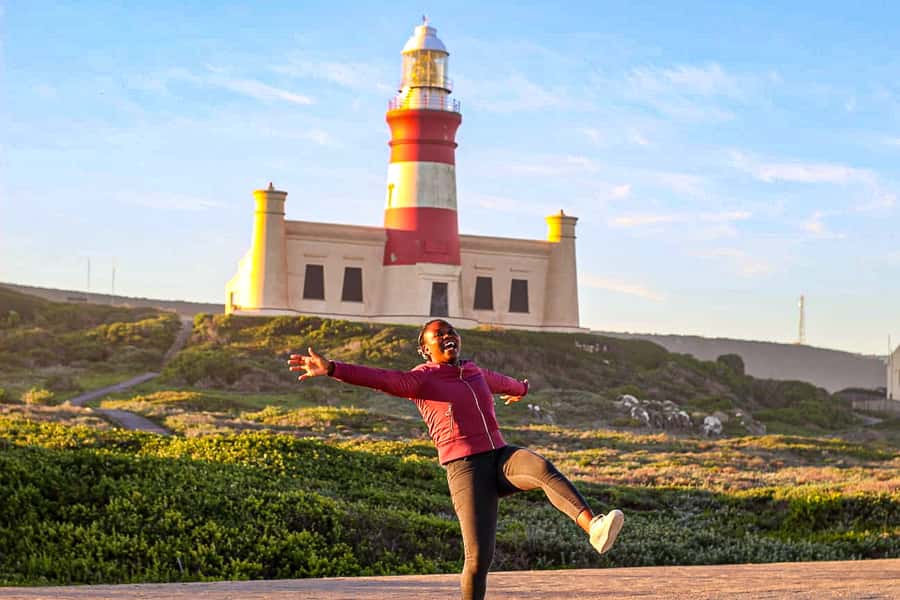 Cape Agulhas, Hermanus & Stoney point Penguins full Day Tour - Hemel en Aarde Pinot Noir and Chardonnay
