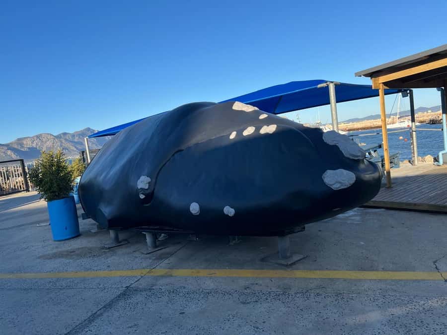 Cape Agulhas, Hermanus whales & Wine Tasting Day Trip - FAQ