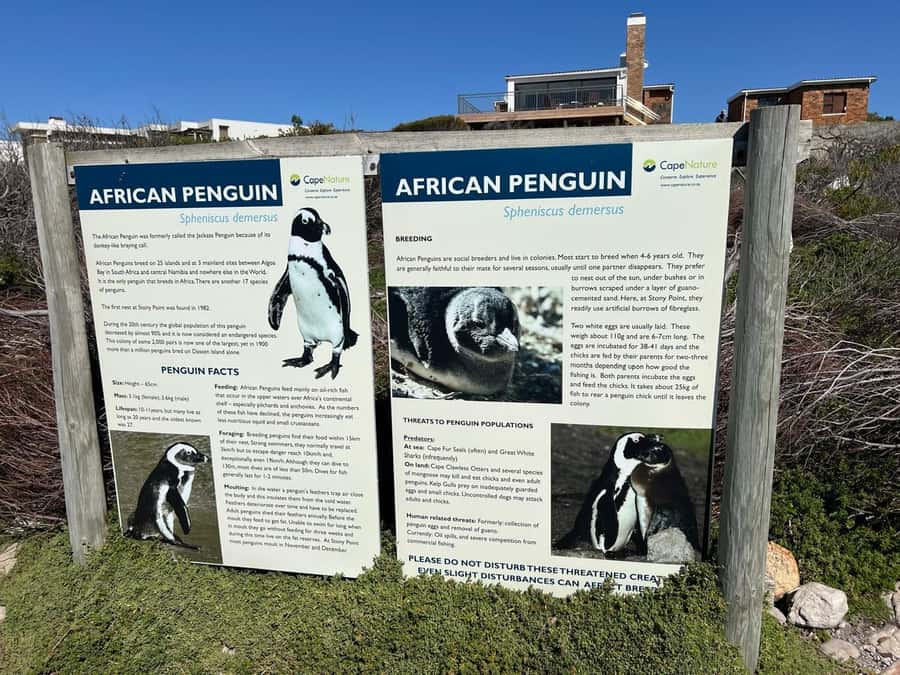 Cape Agulhas, Hermanus whales & Wine Tasting Day Trip - Stellenbosch ends the route with wine and cheese