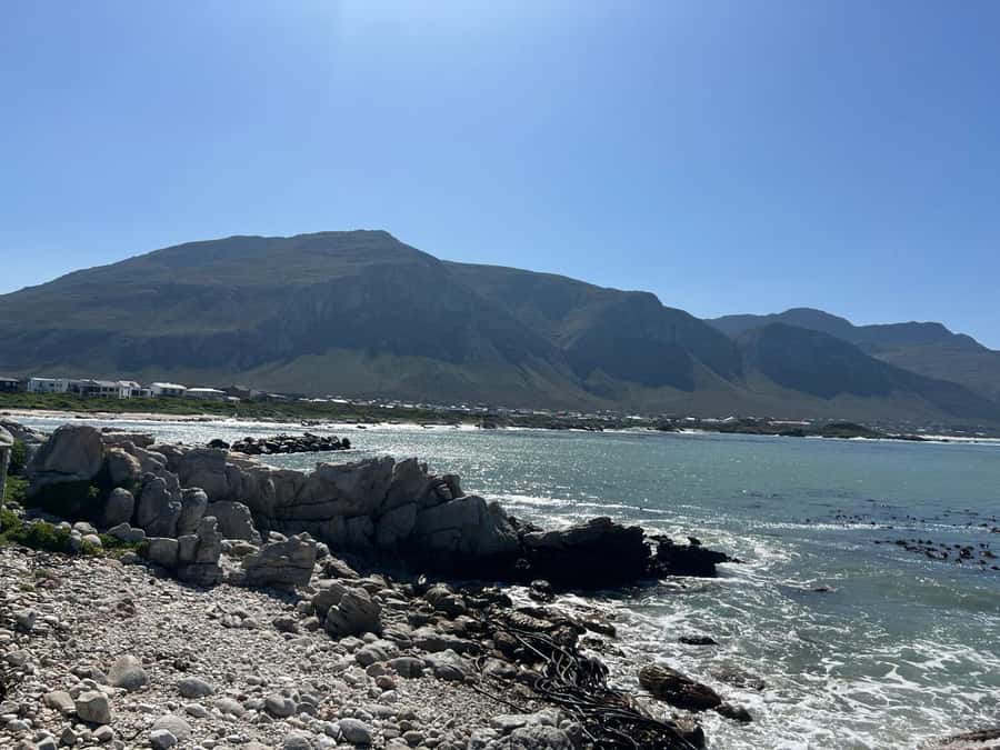 Cape Agulhas, Hermanus whales & Wine Tasting Day Trip - What the $264 price includes