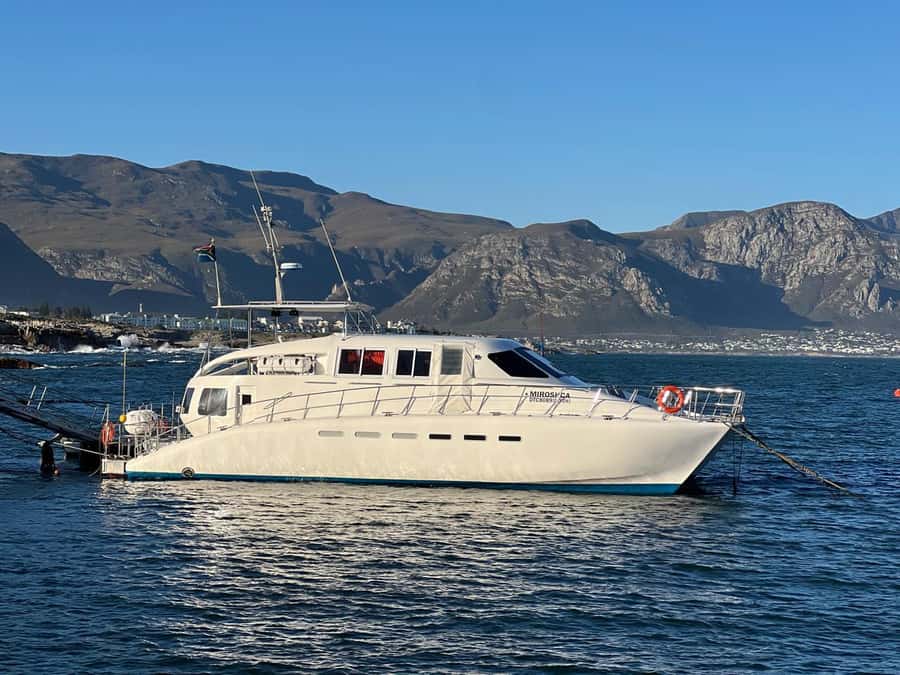 Cape Agulhas, Hermanus whales & Wine Tasting Day Trip - Practical advice for a smoother day