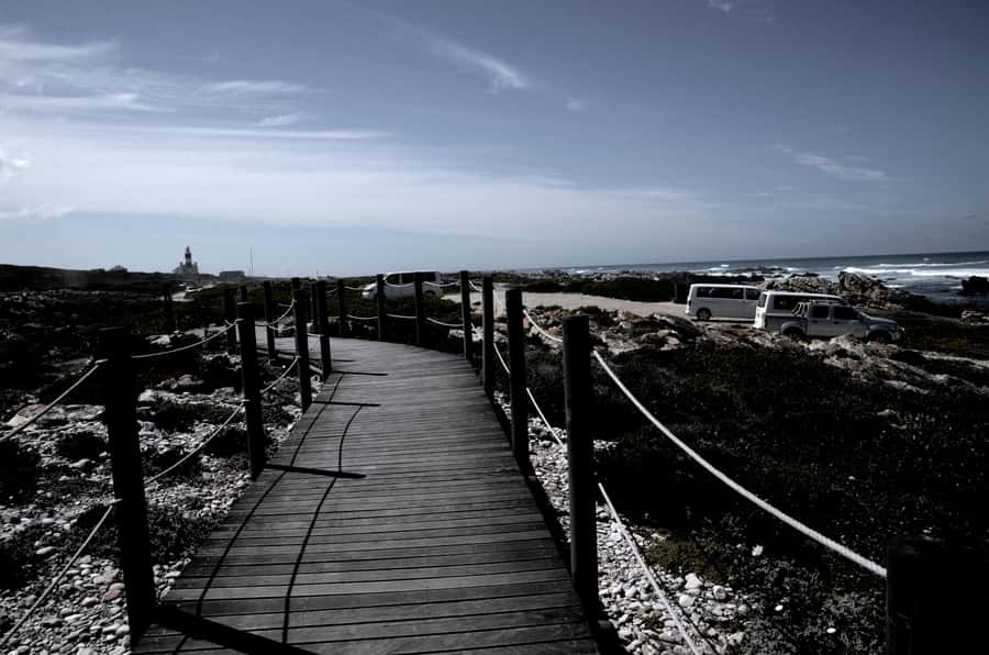 Cape Agulhas Tour from Cape Town - What the small group changes