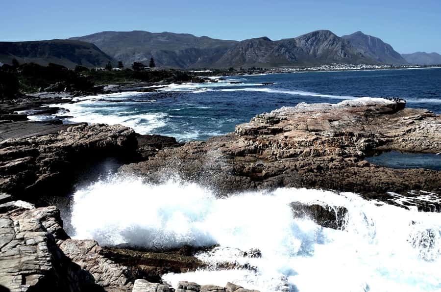 Cape Agulhas Tour from Cape Town - Farm roads, citrus orchards, and a refreshment stop