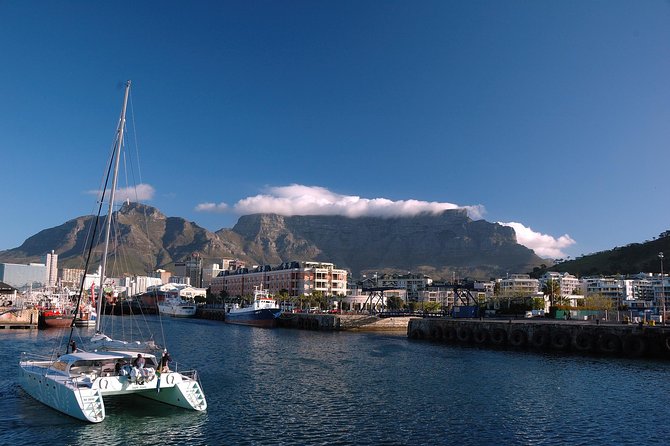 Cape City Like-a-Local Full Day Tour with Private Guided Transfer - A useful first day in Cape Town
