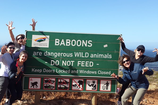 Cape of Good Hope and Cape Winelands Day Tour from Cape Town - From Clifton’s sheltered beaches to Camps Bay’s palm-lined shore