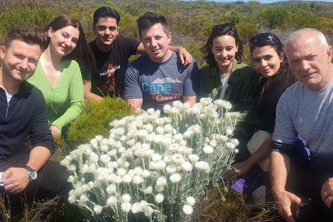 Cape of Good Hope and Cape Winelands Day Tour from Cape Town - Is $160 a fair price?