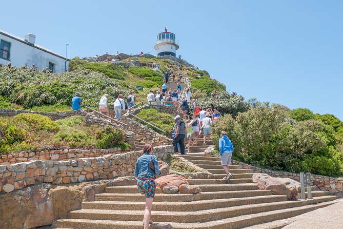 Cape Of Good Hope and Penguins Full Day Small Group Tour from Cape Town - Boulders Beach and the African penguins