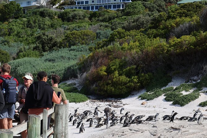 Cape Of Good Hope and Table Mountain Day Trip from Cape Town parks fees include - Bo-Kaap adds color and city context