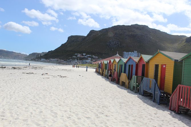 Cape Of Good Hope Bo-Kaap Penguins Full Day tour From Cape Town - Simon’s Town and the naval waterfront