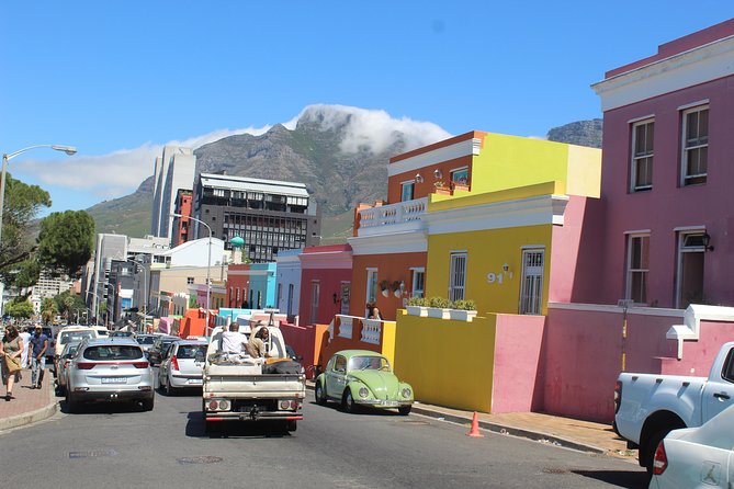 Cape Of Good Hope Bo-Kaap Penguins Full Day tour From Cape Town - Meeting the African penguins at Boulders Beach