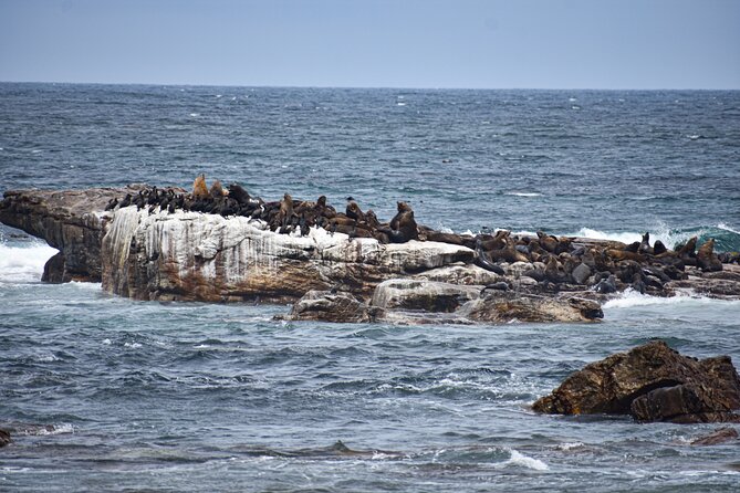Cape of Good Hope & Boulder Penguins Full-Day Tour from Cape Town - Why this Cape Peninsula route works so well