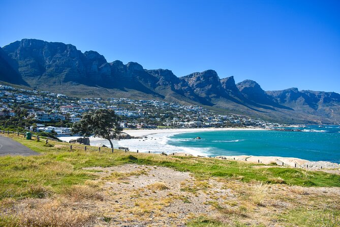 Cape of Good Hope & Boulders Beach Private Tour (Including Lunch) - Chapman’s Peak is the road you will remember