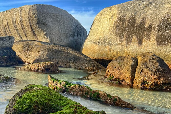 Cape of Good Hope Cape Point for groups - Why this private Cape Peninsula route works