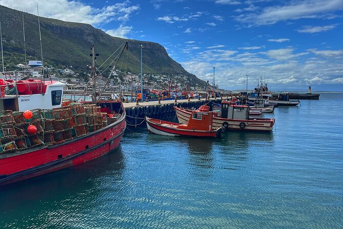 Cape of Good Hope Cape Point for groups - Hout Bay and the optional seal-island cruise