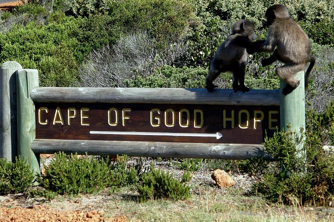 Cape of Good Hope, Cape Point & Penguins Private customizable Full Day Tour - Cape Point Nature Reserve brings wildlife and history