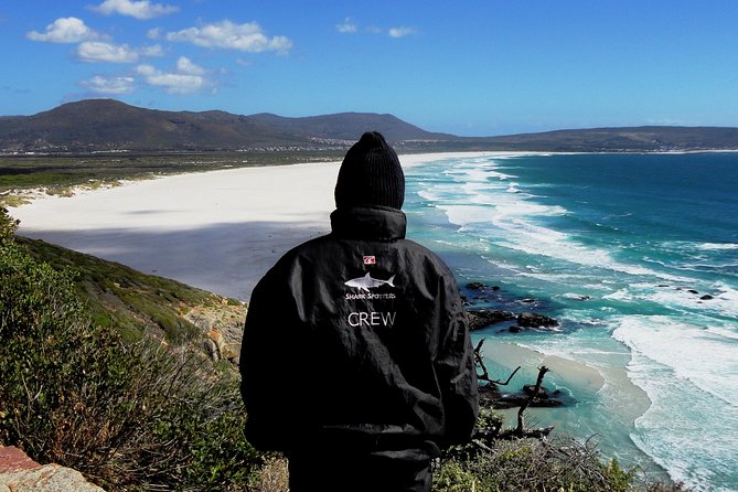 Cape of Good hope, Cape Point & Penguins, Private Morning Tour - Chapman’s Peak gives you the first big views