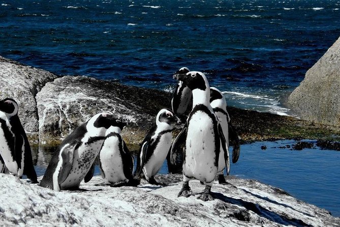 Cape of Good hope, Cape Point & Penguins, Private Morning Tour - Cape Point is the tour’s main event