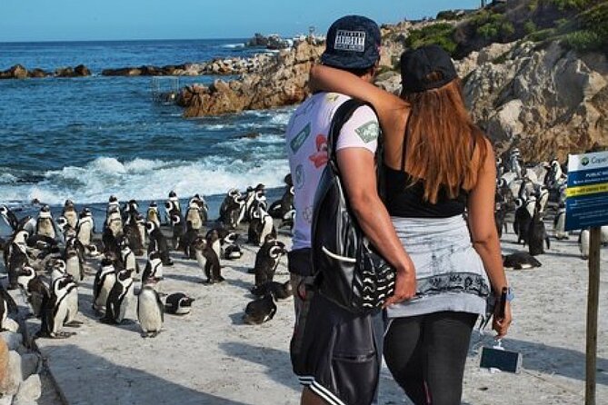 Cape of Good Hope-Cape Point - Penguins Private Tour Cape Town - What the private vehicle changes