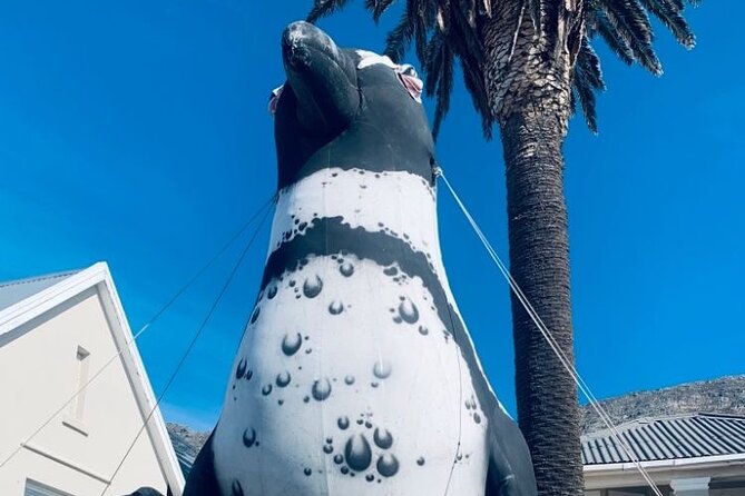 Cape of Good hope,penguin Beach, Table Mountain, Campsbay - Who should book this Cape Town tour?