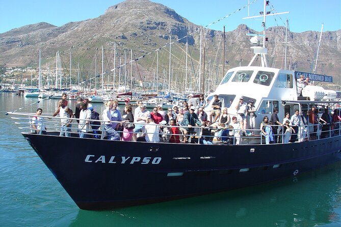 Cape of Good Hope & Penguins from Cape Town Full-Day Private Tour - Chapman’s Peak is the road highlight