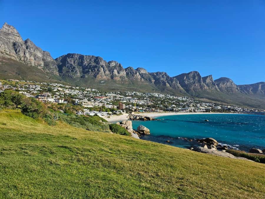 Cape of Good Hope & Penguins Private Tour - Chapman’s Peak Drive, one of the day’s great roads