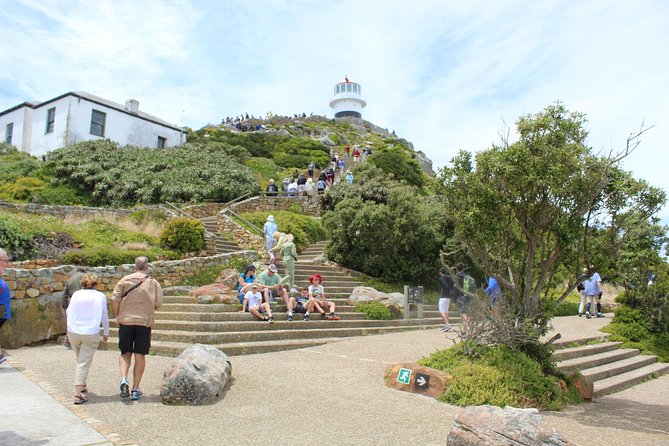 Cape Of Good Hope, Penguins Private Tour from Cape Town full day - Why this private Cape Peninsula day works