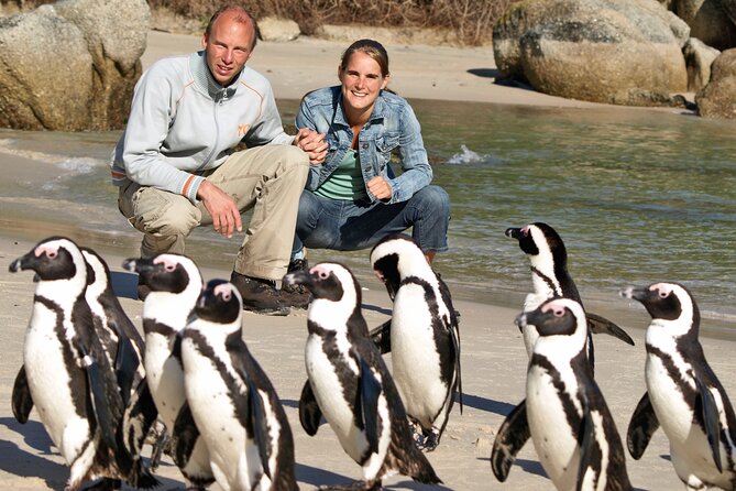 Cape of Good Hope & Penguins Small Group Tour from Cape Town - Morning Pickup and the Bo-Kaap