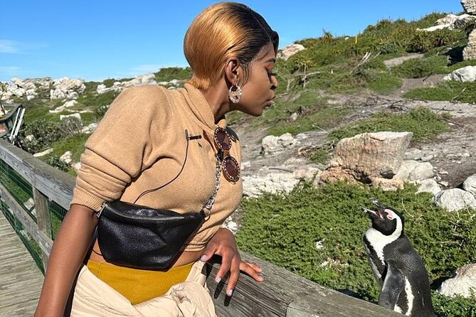 Cape of Good Hope & Penguins Small Group Tour from Cape Town - Boulders Beach and the African Penguins